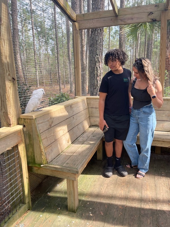 Meet the Posher Other - Meet your Posher, Kat